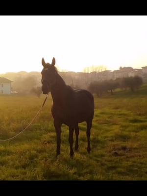 A post by @matteo936 on TikTok caption: #neiperte#fuoconelfuoco#neipertechallengevira#AmiFaEffetto#BeUnited#vamos😍🙈precioso🙈❤