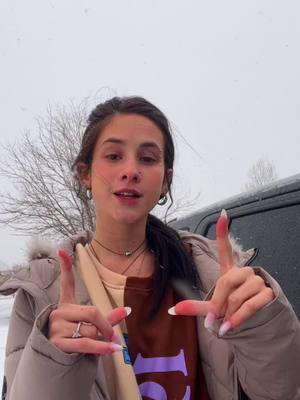 A post by @sydney.casebolt on TikTok caption: #colorado it finnaly snowed yall