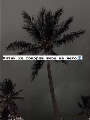 A post by @kaif_zona26 on TikTok caption: #цитаты #сохры🤤💦🌴🐊 #ДавайЗаСтол #МагнитНаЛёд