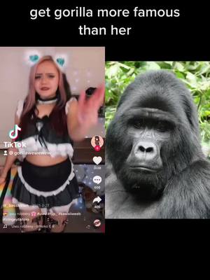 A post by @gorillawewewew on TikTok caption: stfu#duet #boostofhope #foryou #fyp #EveryKiss #foryoupage #Horrify