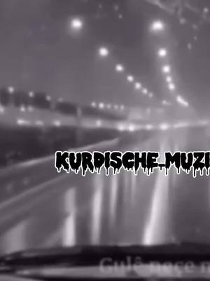 A post by @kurdische_muzik1 on TikTok caption: Gule nece nece🥀#kurdischelieder🇹🇯 #kurdische_muzik1 #yaramin #fypシ゚viral #tiktok #🕊🤍❕ #kurdischemuzik #ah64_offieziell #fyyyyyyyyyyy #🌹 #❤️🌹 #💚