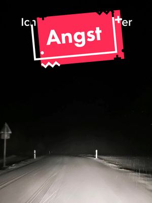 A post by @spruechetv on TikTok caption: Wenn ich nur diese Angst verlieren würde. #cardriving #westwood #car #fy #fyp #street #night #snow #winter #angst