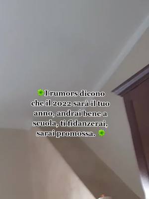 A post by @sto.bene_grazie._ on TikTok caption: I RUMORS HANNO RAGIONE.