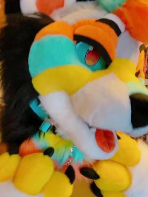 A post by @starpupstudio on TikTok caption: New collar goofin 👀✨ #fursuit #fursuiter #furryfandom #furry #fursuitpartial