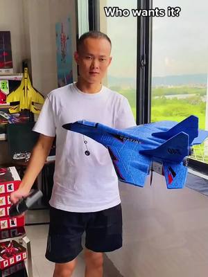 A post by @xxz900528 on TikTok caption: #fypシ #foryoupage #foryou #Airplane #toy #rc