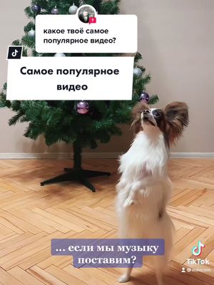 A post by @mikicoin on TikTok caption: #ответ для @zaisrel  Это видео много раз поднимало настроение в конце декабря 😁 Спасибо всем за активность 🙏 Дальше - больше! #рекорд #самое #танцы