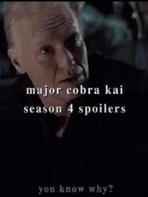 A post by @cobra.kaii22 on TikTok caption: #cobrakai🐍 #terrysilver #johnkreese #fyp #viral