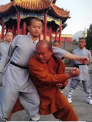 A post by @saolin71 on TikTok caption: Shaolin self defense technique #shaolin #shaolintemple #shaolinkungfu #kungfu #foryoupage #fy