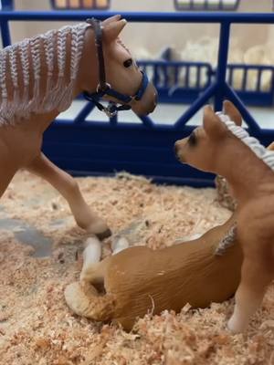 A post by @blue.ridge.modelss on TikTok caption: Twins!!! Thank you so much for 21.3k followers🤯 I’m so thankful for you all<3 #schleich #thebestsong #stopmotion #horse #foals #thankyou #modelhorse