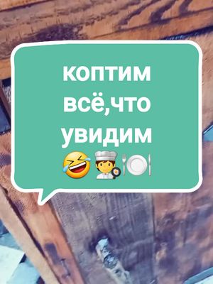 A post by @shukar90 on TikTok caption: #Коптим #хочуврек #Щукарь