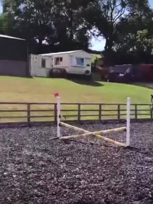 A post by @horseyeditss_ on TikTok caption: OH NOO!! Do you have Some riding fails on camera?🥰 #foryoupage #wowwwwwww #fails #foryou #fyp #viral #fyy #horses #horseriding #wow #horse