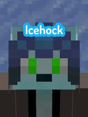 A post by @icehock on TikTok caption: I had editors block 😅 #fyp #fypシ#Minecraft