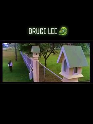 A post by @bruce.lee16 on TikTok caption: #brucelee#RealRichKITZ #kungfu #foryou #china#🇨🇳#🐉☯️#🐉#💪🏼🐉