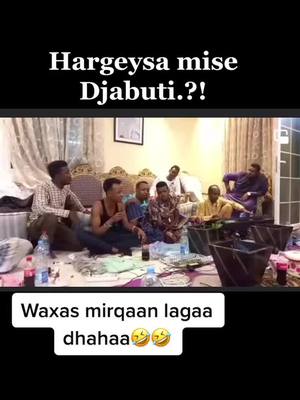 A post by @qurbaawitv38 on TikTok caption: Waxaas mirqaan lagaa dhaha🤣🤣🤣✌️      #somaliamerica #minneapolis #djbutitiktok🇩🇯 #hargeysa #somaligermany🇸🇴🇩🇪 #somalitiktok