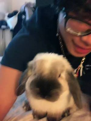 A post by @deprresed_bugs on TikTok caption: Should I post more again? #fyp #bunny