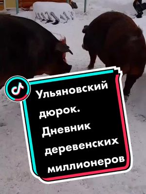 A post by @derevenskie_millioneri on TikTok caption: #ульяновскийдюрок#дневникдеревенскихмиллионеров#дюрк#дюрки