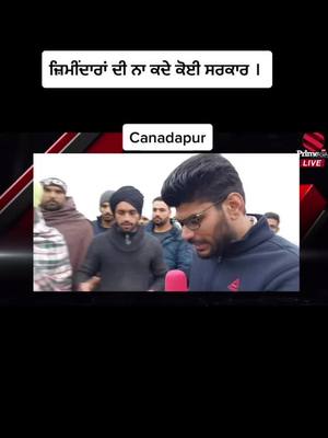 A post by @proud2bestudent on TikTok caption: #fyp #punjabi #canadapur #punjab #farmer #viral