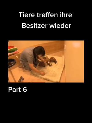 A post by @03_lin675 on TikTok caption: #tiere #wiedersehen #schön #wunderschön #wow #Tiere #viral #viral? #fy? #fy #fypシ #fyp?