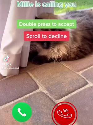 A post by @1millie.kitty1 on TikTok caption: Did you accept?