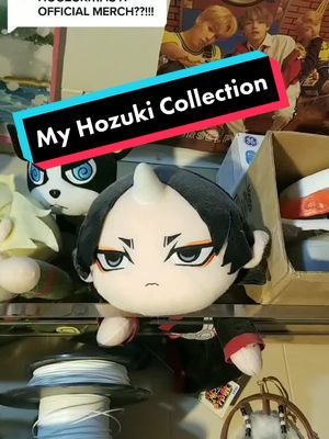 A post by @peachie.pavus on TikTok caption: Reply to @waltzingcorpse  YES - I'm still missing a few offical peices I want, but they're super annoying to find 😭 #hozukinoreitetsu #animemerch