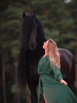 A post by @horseyeditss_ on TikTok caption: Do you like Friesian? 😍 #friesian #fyp #foryoupage #foryou #fyy #wowwwwwww #cute #viral credits on insta emmaemerelle