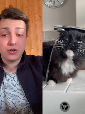 A post by @youtv98 on TikTok caption: #dúo con @sarahwallis_ #gatos #agua