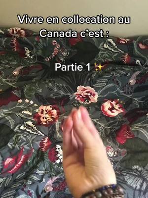 A post by @marianne_gagn on TikTok caption: Bienvenu au 🇨🇦 #montreal #canada #exchangestudent #erasmus #fyp #pourtoi