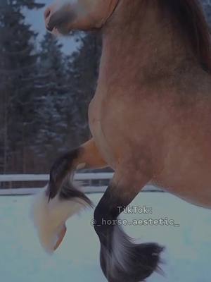 A post by @_horse.aestetic_ on TikTok caption: kraшшш✨#конныйспорт #GoWinterGames #конныйэдит #синийхагиваги #fupシ #pyf #rge