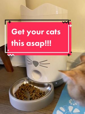 A post by @peach_jo on TikTok caption: You can’t miss on this smart feeder if you have cats at home!!! #catsoftiktok #cutecat #catit #smartfeeder #pixi