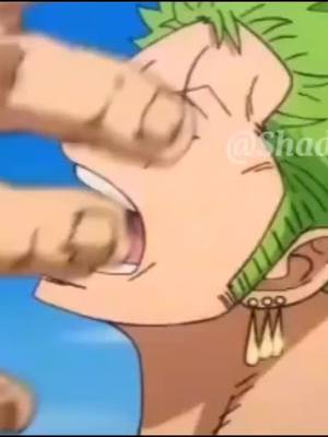 A post by @tokyo_shadow_ao40 on TikTok caption: #Roronoa zoro💚 luffy Ace💙 inséparable comme #Gon💚 freecss et #killua💙 meilleur ami pour toujours  de tout les temps 🤜🤛✌💙💙😁🌅❄🌠🌊🌀🌌💙💙😢