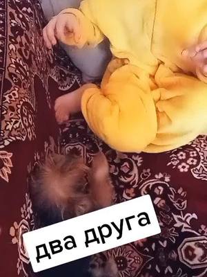 A post by @lovelywifemothergranny on TikTok caption: рекомендации#