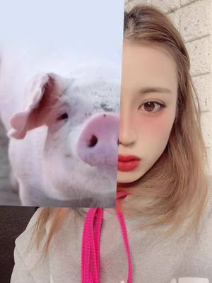 A post by @napple_jessy on TikTok caption: #あなたの前世の動物は 😍😍