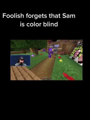 A post by @exo_ranboo on TikTok caption: #awesamdude #foolish_gamers #dsmp #Minecraft #fuckyou #dreamsmp  #foryoupage #foryou #fypシ