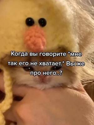 A post by @kureije on TikTok caption: не все вспомнят. #fyp