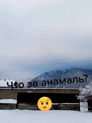 A post by @nikitashamota on TikTok caption: #что за анамаль??? Рек???