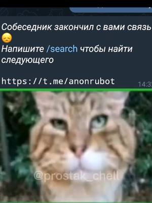 A post by @crayzman9 on TikTok caption: Чел#ок