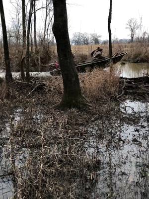 A post by @tractorpartsguy on TikTok caption: Miss it already.. kind of. #AlaskaAirCAREoke #duckhuntersoftiktok #duckhunting #waterfowl #fyp #forypu #foryou