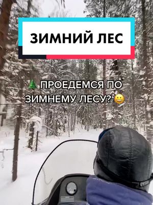 A post by @solovki_mon on TikTok caption: Сколько деревьев-арок проехали? 😊 #соловки #русскаязима #русскийлес #впуть