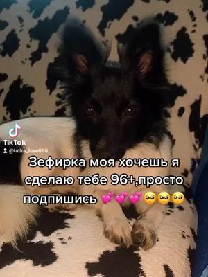 A post by @tatka_love066 on TikTok caption: летнее видео.. 😭#лето #глобальныерекомендации #tiktok #хочуврек face all