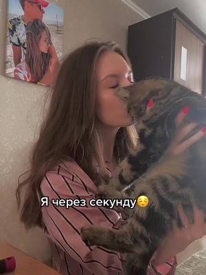 A post by @alena_ginchak on TikTok caption: #кошка #британецкот #животные #кошкавтренде