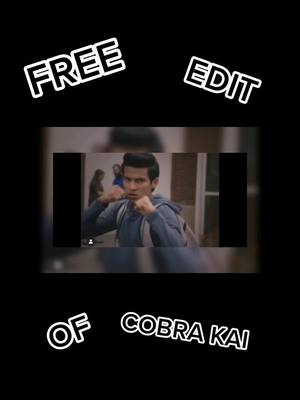 A post by @bosnier_27 on TikTok caption: #CapCut #freeedit #cobrakai #migueldiaz #kyler #fight #fightscene #fy #fyp#xolomaridueña @xolo_mariduena