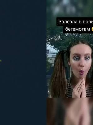 A post by @zloy_edinorozhek_duet on TikTok caption: #дуэт с @zloy_edinorozhek #подводнаялодка #яжемать #foryou #рекомендации #бегемот #зоопарк