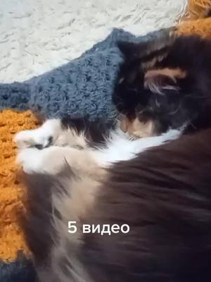 A post by @lovelywifemothergranny on TikTok caption: рекомендации😅#