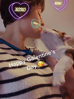 A post by @pennyspastaparty on TikTok caption: My forever valentine ❤️ #valentine #galentinesday #ValentinesDay #cute #puppy #puppylove #fyp