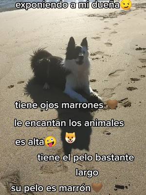 A post by @drako_el_perro on TikTok caption: algún día enseñará la cara🤪🤪