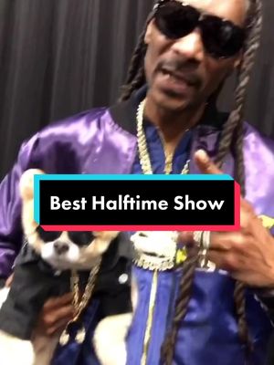 A post by @bentleythepomofficial on TikTok caption: Best halftime show in history? Comment your favorite performer #snoopdogg #SuperBowl #superbowllvi #superbowlhalftimeshow #snoop #fyp  #ValentinesDay