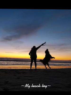 A post by @goldenoliversmom on TikTok caption: Playing with a sunset ✨ @Huntington Dog Beach #fyp   #oliver#waterdog #sunsets #beach #bestfriend #goldenretriever #goldenretrieversoftiktok#dog