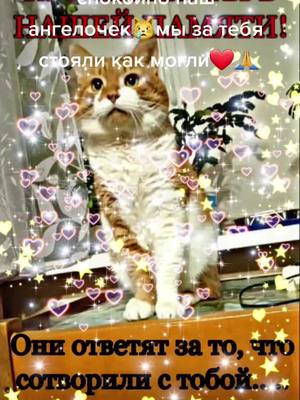 A post by @svetaslastori on TikTok caption: #срокзакузю