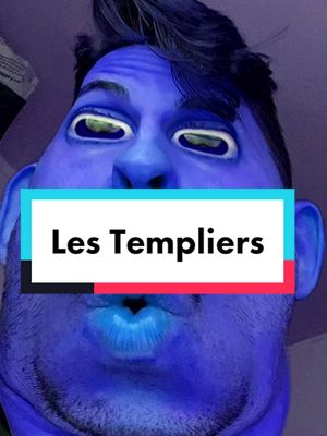 A post by @jayrld10 on TikTok caption: Vendredi c’est poisson #templier #roi #histoire #voyagetemporel #pourtoi #humour