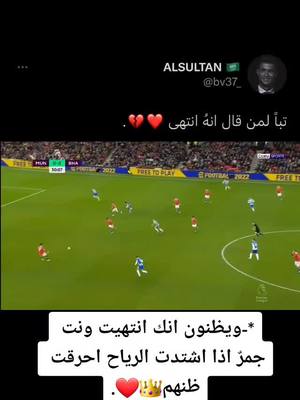 A post by @alzaeem.moe.22 on TikTok